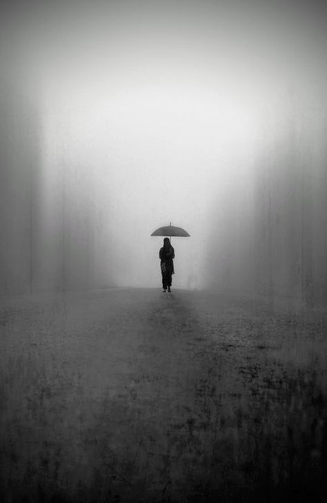 Silence Photo, Art Umbrella, 심플한 그림, Rain Photo, I Am Not Afraid, Alone Photography, Walking Alone, The Fog, Never Change