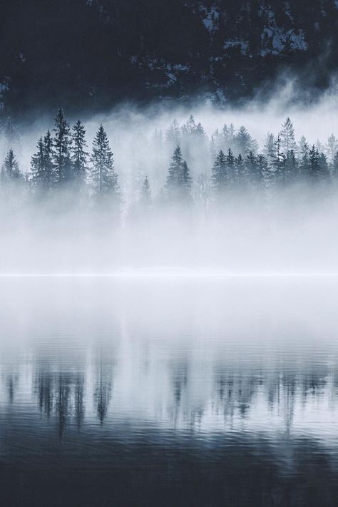 Plansee Austria, Misty Eyes, Perfect World, By Max, Beautiful Photography, Art Techniques, Beautiful World, Mother Nature, Beautiful Nature