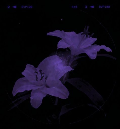 Pfp Aesthetic Purple, Purple Lifestyle, Uicideboy Wallpaper, Icon Pfp Aesthetic, Purple Goth, Purple Aesthetic Background, Dark Purple Flowers, Dark Purple Wallpaper, Violet Aesthetic