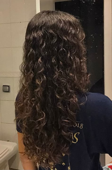 Thick Wavy Brunette Hair, Wavy Hair Inspo Natural Curls, Lightly Wavy Hair, Wavy Hair Lowlights, Beach Waves Hair Perm, Wavy Hair With Layers And Curtain Bangs, Long Wavy Hair Layers, Wavy Hair Reference, Very Wavy Hair