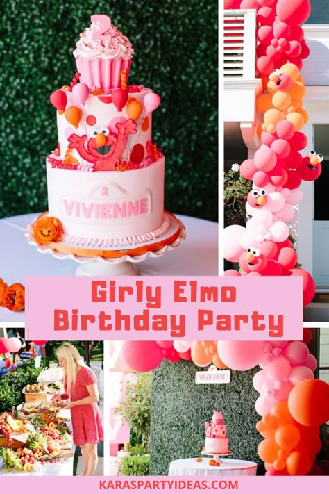 Kara's Party Ideas Girly Elmo Birthday Party | Kara's Party Ideas Cute Elmo Birthday, Elmo’s Onederful World, Sesame Themed Birthday Party, Sesame Street Elmo Birthday Party Ideas, Cute Sesame Street Party, Pink Elmo Party, Vintage Elmo Party, Abby Cadabby And Elmo Party Ideas, 1st Birthday Elmo Theme