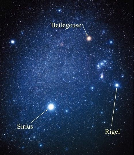 Nightsky - Betlegeuse, Sirius, Rigel Rigel Star, Space Jams, Star Constellation, Star Constellations, Apollo 11, Space Images, Galaxies Stars, Know Nothing, Night Skies