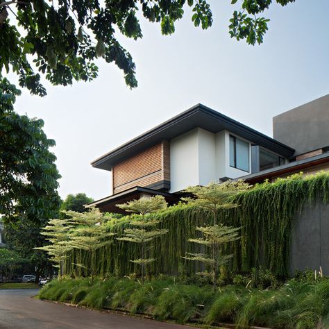 Gallery of CL House / Axial Studio - 2 Tropical Facade, Fasade House, Modern Tropical House, Tropical House Design, Bali House, Tropical Architecture, Tropical House, Modern Tropical, Tropical Houses