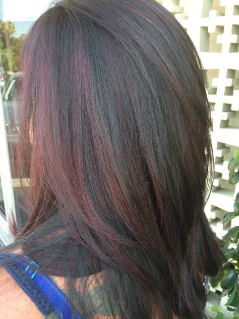 Dark chocolate base with raspberry highlights Berry Highlights Brown Hair, Raspberry Highlights, Chocolate Cherry Hair Color, Dark Red Highlights, Red Hair Tips, Hair Color Red Ombre, Black Cherry Hair, Brunette Hair Cuts, Cherry Hair Colors