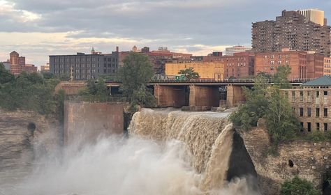 Why Rochester, New York Is The Best Small City in America for Vegans     | VegNews Vegan Ceviche, Rochester Institute Of Technology, Farm Sanctuary, The Big Easy, Animal Agriculture, Rochester New York, Small City, Urban Nature, Food Club