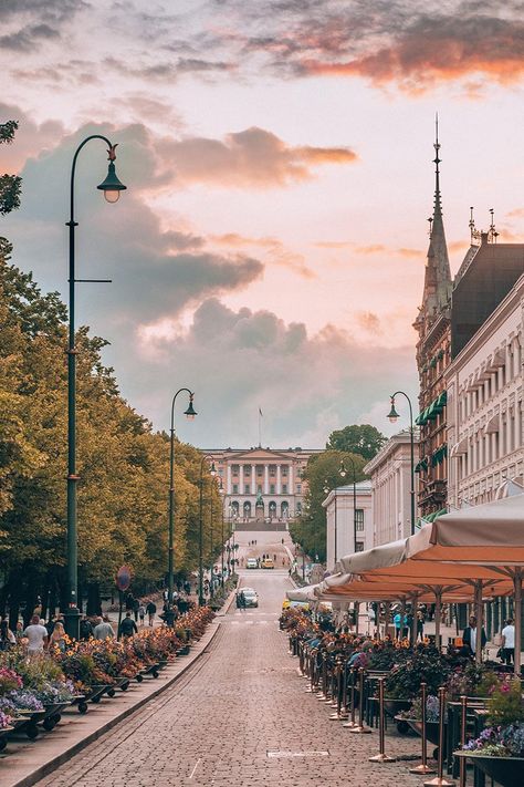 22 Absolutely Free Things to do in Oslo, Norway You Should Do Norway Aesthetic Oslo, Norway Aesthetic Wallpaper, Oslo Norway Photography, Oslo Norway Aesthetic, Oslo Aesthetic, Oslo Norway Travel, Norway Wallpaper, Norway Aesthetic, Norway City