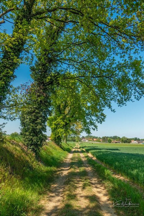 Country Sunset, Mountain Lakes, Beautiful Roads, Country Roads Take Me Home, Dappled Light, Nature View, Sunset Landscape, Enjoy Nature, Beautiful Scenery Nature