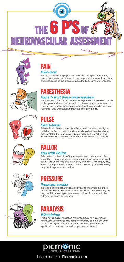 Neurovascular Assessment, Nursing School Life, Nursing Information, Nursing Assessment, Nursing School Essential, Exam Tips, Nclex Study, Vascular Surgery, Nurse Study Notes