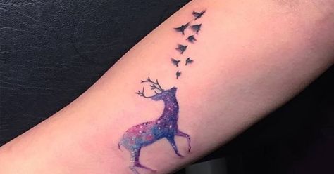 Tattoo Artist: Eva krbdk. Tags: categories, Watercolor, Animals, Deers. Body parts: Inner Forearm. Deer Tattoos For Women, Tattoo Arm Frauen, Deer Tattoos, Deer Tattoo Designs, Inner Arm Tattoos, Super Tattoo, Inner Forearm Tattoo, Inner Arm Tattoo, Remembrance Tattoos