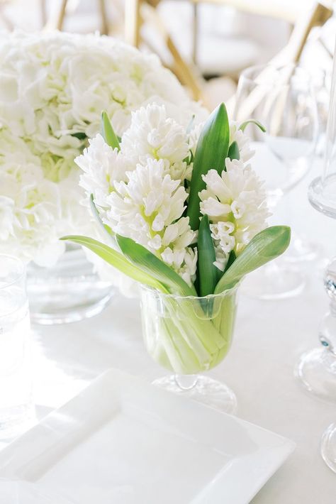 Hyacinth Bridal Bouquet, Hyacinth Wedding, Vases Arrangements, Bud Vases Arrangements, White Hyacinth, Wedding Vase Centerpieces, Peony Bud, Tulips In Vase, Vase Arrangements