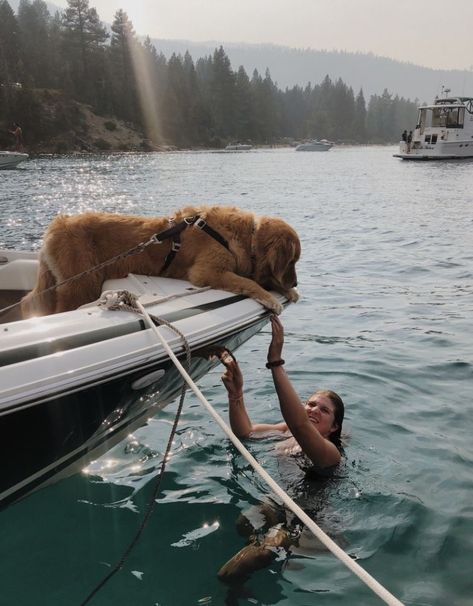 Lake Dog Aesthetic, Dog Best Friend Aesthetic, Family Dog Aesthetic, Vacation With Dog, Lake Life Aesthetic, Dogs Swimming, Negative Reinforcement, Dogs On Boats, Kayaking With Dogs