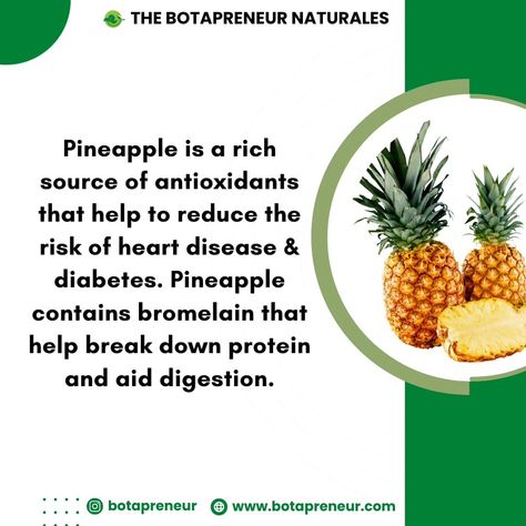 Pineapple is indeed a fruit that offers several health benefits. While it's true that pineapple contains antioxidants, such as vitamin C, which can help reduce the risk of certain diseases, including heart disease, there isn't sufficient evidence to claim that pineapple alone can prevent or treat these conditions. Pineapple does contain an enzyme called bromelain, which is known for its ability to break down proteins. Bromelain has been used as a digestive aid and is sometimes used to tender... Digestive Aid, Variety Of Fruits, A Fruit, Hair Oil, So True, Natural Health, Vitamin C, Health Benefits, Disease