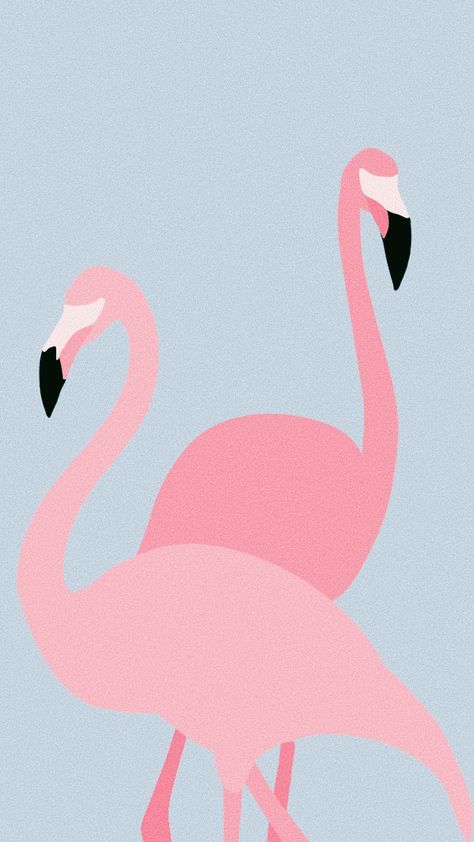 Flamingo Background, Flamingo Drawing, Flamingo Wallpaper, Watch Wallpaper, Background Wallpaper, Pink Flamingos, Portrait Photo, Phone Backgrounds, Flamingo