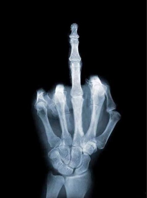 All This Is That: flip the bird Xray Art, Rap Album Covers, Mixtape Cover, Rap Albums, Cover Art Design, Rap Songs, Album Cover Design, Cd Album, Album Cover Art