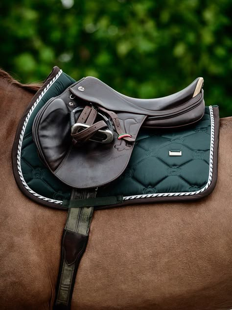 Horse Tack English, English Tack Sets, Equestrian Tack, English Horse Tack, Horse Farm Ideas, Horse Riding Helmets, English Tack, Show Jumping Horses, Horse Riding Outfit