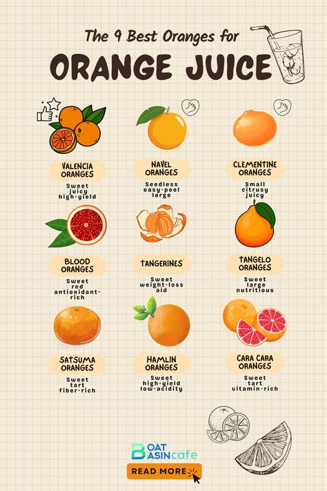 Juicy and Refreshing: The Best Oranges for Juicing Homemade Orange Juice Recipe, How To Make Orange Juice, Orange Juice Benefits, Folate Rich Foods, Crk Oc, Homemade Orange Juice, Orange Juice Recipes, Types Of Oranges, How To Make Orange