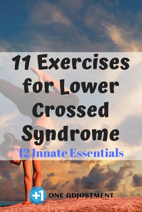 11 Exercises for Lower Crossed Syndrome - One Adjustment Lower Cross Syndrome, Upper Cross Syndrome, Mid Back Pain, Piriformis Stretch, Mindful Movement, Piriformis Syndrome, Pelvic Tilt, Lower Back Pain Exercises, Lower Back Exercises