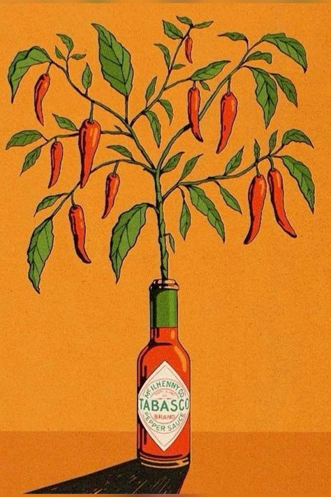 Arte Hippy, Chilli Plant, Wall Art Illustration, Plant Wall Art, Wallpaper Pastel, Arte Inspo, Chili Peppers, Art Collage Wall, Art Inspiration Painting