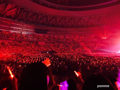 Enhypen Concert, Lightstick Kpop, Red Ocean, Stage Lights, Glow Stick, Concert Aesthetic, Concert Stage, A Boyfriend, My Job