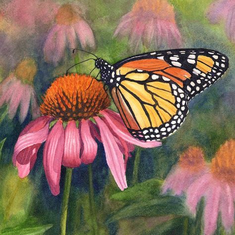 Monarch Butterfly Watercolor Painting Print b Monarch Butterfly Watercolor, Purple Cone Flower, Butterfly Watercolor Painting, Orange Monarch Butterfly, Cone Flowers, Autumn Leaves Art, Peony Art, Butterfly Art Painting, Arte Grunge