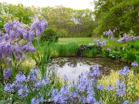 The perfect partner for a charming cottage is a colorful and oh-so-delightful landscape. Charming Cottage, Backyard Flowers, California Garden, Cottage Garden Design, Cottage Garden Plants, English Cottage Garden, Design Blogs, Garden Pond, A Pond