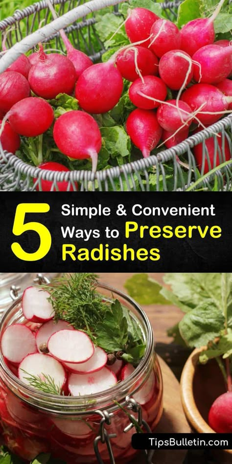 Preserve Radishes, How To Store Radishes, Fruit Powders, Dehydrated Fruits, Harvest Vegetables, Preserving Vegetables, Veggie Plate, Freezing Vegetables, Pressure Canning Recipes