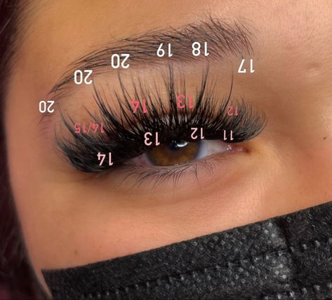 Spider Lash Extensions, Lash Bible, Lash Patterns, Eye Lash Style, Lash Babe, Lash Content, Spider Lashes, Lash Boss, Lash Maps