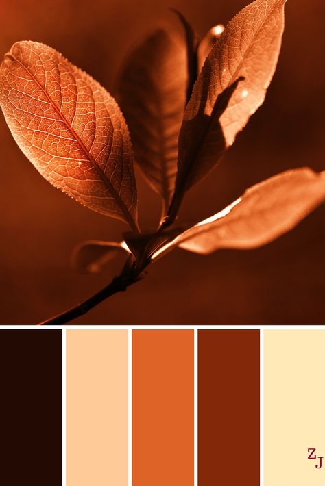 ZJ Colour Palette 1263 #colourpalettes #colourinspiration Rust Color Schemes, Farmhouse Color Scheme, Brown Color Scheme, Brown Color Schemes, Farm House Colors, Color Schemes Colour Palettes, Stunning Hairstyles, Paint Color Palettes, Brand Color Palette