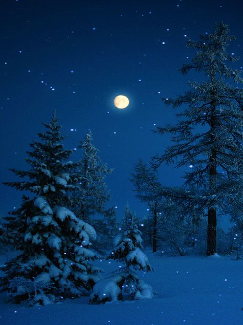 Silent Night Good Night Everybody, Shoot The Moon, Christmas Scenery, Winter Szenen, Winter Images, Winter's Tale, Winter Love, Animated Christmas, Winter Scenery