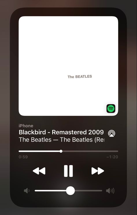 The Beatles Blackbird, Blackbird Lyrics, Blackbird Beatles, Blackbird Song, Broken Wings, Beatles Songs, Learn To Fly, Aesthetic Songs, Blackbird