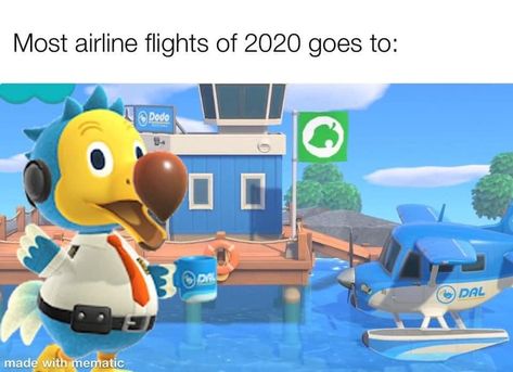 Dodo Airlines, Airline Flights, Airlines, Animal Crossing, Memes, Animals