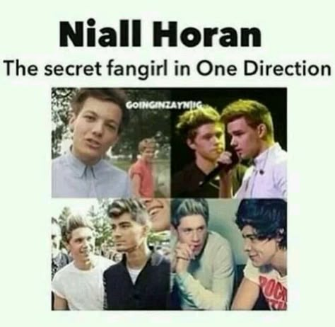 Secret? Cute Niall Horan, One Direction Jokes, One Direction Fandom, Harry Styles Memes, One Direction Facts, One Direction Images, One Direction Louis, Direction Quotes, One Direction Wallpaper