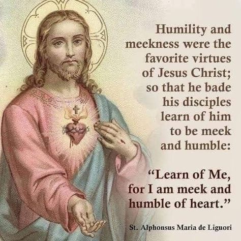 Saint Quotes Catholic, Religious Pictures, Catholic Images, The Sacred Heart, Sacred Heart Of Jesus, Saint Quotes, Saint Augustine, Saint Vincent, Catholic Quotes