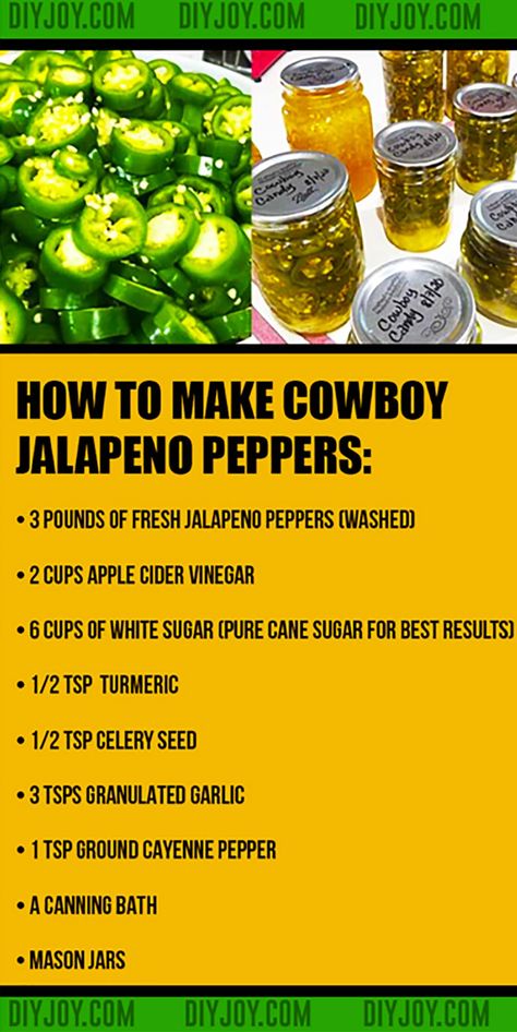 Cowboy Jelly, Jalapeño Candy, Jalapeno Pepper Jelly Recipe Canning, Cowboy Candy Pickled Eggs, Candied Jalepeno Recipes Canning, Cowboy Candy Jalapenos Canning Recipes Small Batch, Jalepeno Recipes Jelly, Pickling Eggs, Cowboy Candy Jalapenos Canning Recipes