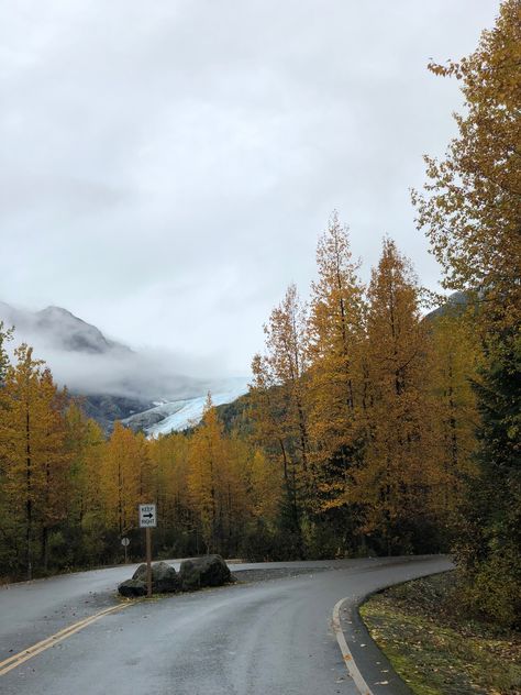 Alaska Town, Alaska Aesthetic, Alaska Nature, Misty Autumn, Moving To Alaska, Visit Alaska, Fall Yall, Alaska Travel, I Want To Travel