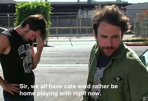 Sir, we all have cats we'd rather be home playing with right now. Sunny Quotes, Charlie Kelly, Half Elf, Charlie Day, Always Sunny In Philadelphia, Cat Wedding, It's Always Sunny In Philadelphia, Always Sunny, Sunny In Philadelphia