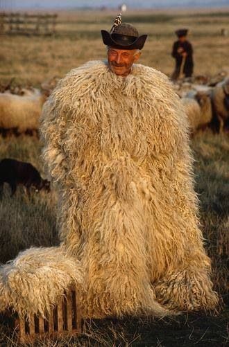 Juhász-taking care of sheeps Hungarian Shepherd, Hungary Photography, European Culture, A Sheep, We Are The World, Cultural Diversity, Central Europe, Arte Popular, Folk Costume