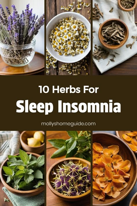 Discover the natural power of herbs for better sleep with these calming herbal remedies. Say goodbye to insomnia with the best medicinal herbs that promote relaxation and aid in achieving a restful night's sleep. Explore the soothing benefits of herbal sleep aids and find out which calming herbs for insomnia work best for you. Improve your sleep quality naturally by incorporating these herbs for sleep into your bedtime routine. Say goodnight to restless nights and hello to a peaceful slumber wit Herbal Tea Recipes For Sleep, Sleeping Herbs, Teas For Sleep, Sleep Recipes, Sleep Remedies Insomnia, Medicinal Herbs Remedies, Calming Herbs, Herbal Medicine Cabinet, Herbs For Sleep