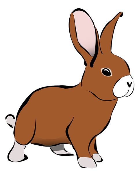 Camping Trip by Lavanya Garodia, India, is one of the outstanding stories at the Biannual International Story Contest organized by Kids World Fun for school children. Animated Bunny, Easter Frame, Rabbit Clipart, Puppy Clipart, Rabbit Drawing, Cartoon Drawings Of Animals, Rabbit Art, Pet Rabbit