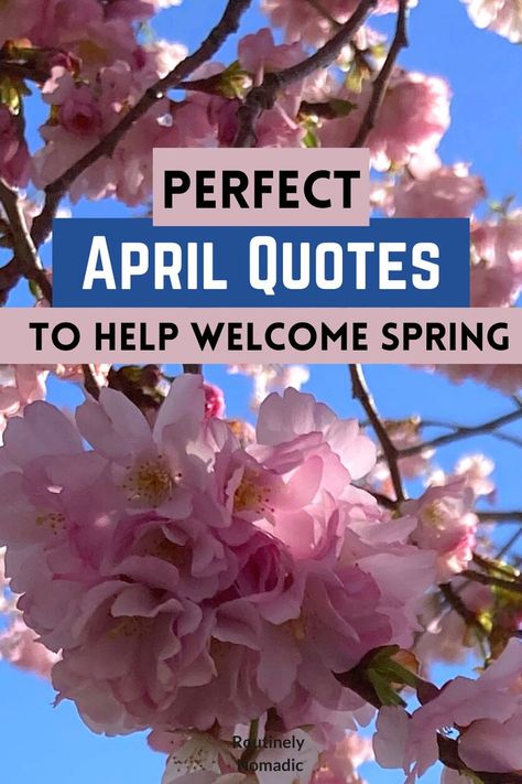 Here are the best April quotes and sayings. Including ones that are the inspirational, cute, funny, hilarious, short, for April 1st, welcome April sayings and hello April sayings and April Fools Day quotes. Find the best Month of April quotes that fits your experience, picture or just inspires you! First Day Of April Quotes, Hello April Quotes Inspiration, Quotes About April Month, April 1 Quotes, 1st Of April Quotes, 1st April Quotes, April Month Quotes Inspirational, Quotes For April Month, April Showers Bring May Flowers Quotes