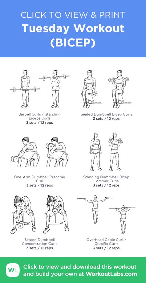 Tuesday Workout (BICEP) – click to view and print this illustrated exercise plan created with #WorkoutLabsFit Bicep Tricep Workout Women, Back And Bicep Workout Gym, Bicep Tricep Workout, Bicep Workout Women, Bicep Workout Gym, Tricep Workouts, Back And Bicep Workout, Tuesday Workout, Bicep And Tricep Workout