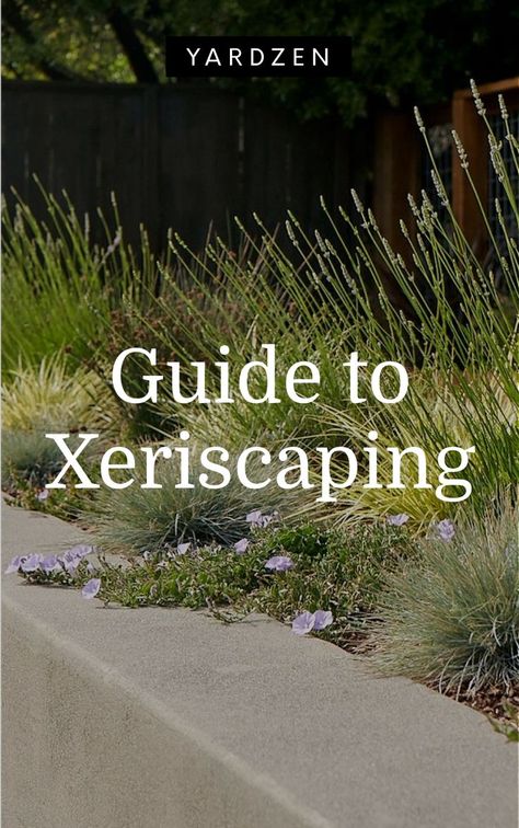 In drought-filled regions, xeriscaping has taken off, commonly misnomered as “Zero-Scaping” for its emphasis on water conservation. Zero Water Landscape, Front Yard Zero Scape Ideas, Zero Landscaping Ideas Front Yard, Diy Xeriscape Front Yard, Zero Scape Front Yard, Zero Scaping Ideas, No Water Landscaping, Drought Resistant Landscaping Front Yard, Zero Scape Landscaping