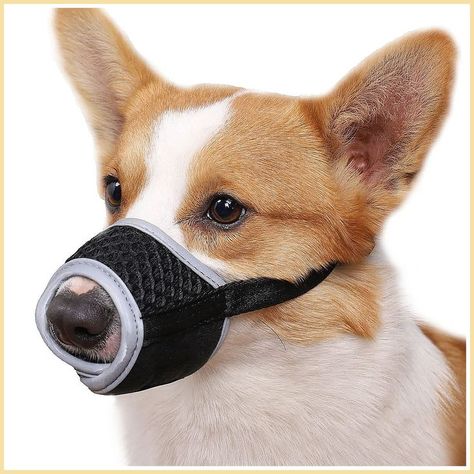 Mayerzon Dog Muzzle, Soft Muzzle for Small Medium Large Dogs Corgi Beagle and Golden Corgi Poodle, Dog Muzzles, Dogs Corgi, Dog Grooming Tips, Dog Muzzle, Grooming Tips, Diy Dog, Medium Dogs, Diy Dog Stuff