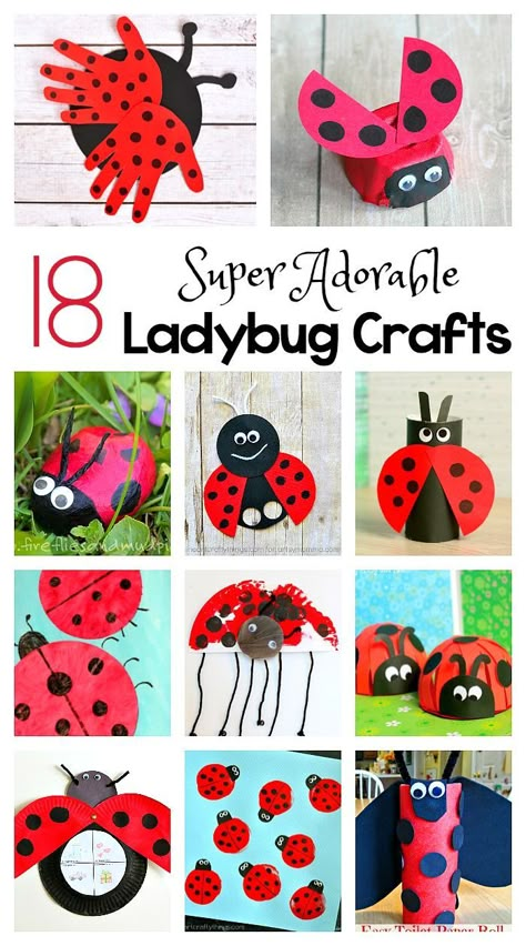 18 Adorable Ladybug Crafts for Kids including ladybugs made from egg cartons, toilet paper rolls, cupcake liners, paper plates and more! Perfect for an insect, gardening, or bug unit or for spring and summer! Ladybug Crafts For Kids, Grouchy Ladybug, Spring Arts And Crafts, Insect Crafts, Ladybug Theme, Ladybug Crafts, Bug Crafts, Spring Crafts For Kids, Spring Activities