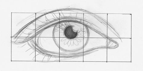 Drawing Eyes Demo, Step 1 | Lee Hammond | How to Draw Facial Features for Beginners | Artists Network Anatomy Beginner, Draw Facial Features, Sketches Realistic, Erza Et Jellal, Eye Facial, How To Draw Eyes, Easy Sketches, Realistic Eye Drawing, Drawing Realistic