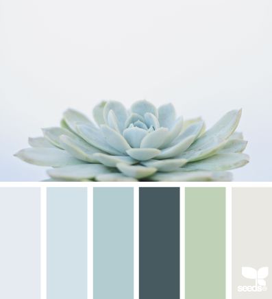 Succulent hues | design seeds | Bloglovin' Healing Rooms, Design Seeds Color Palette, Seeds Color Palette, Design Seed, Seeds Color, Home Decor Colors, Nature Color Palette, Massage Room, Design Seeds