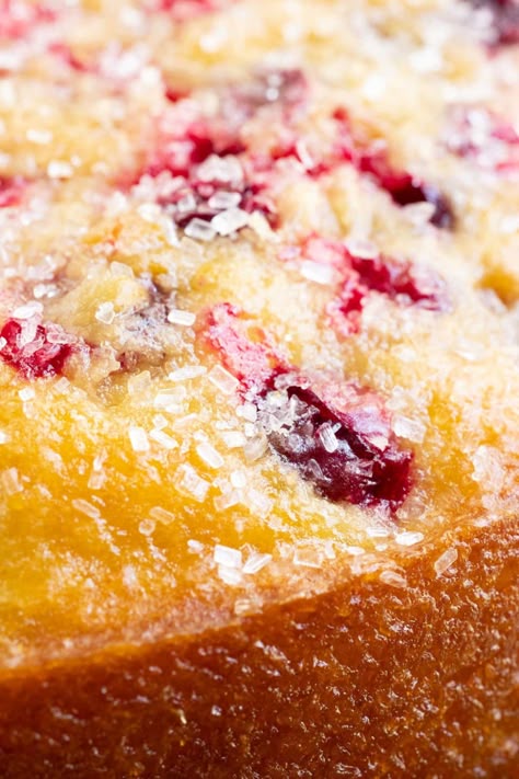 Cranberry Orange Loaf Cake Joy The Baker, Italian Cranberry Orange Cake, Cranberry And Orange Loaf Cake, Cranberry Buttermilk Breakfast Cake, Cranberry Orange Crumb Cake, Cranberry Olive Oil Cake, Orange Cranberry Loaf Cake, Cranberry Orange Coffee Cake Recipes, Panera Cranberry Orange Bread