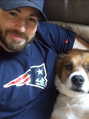 A photo of Chris Evans with his dog Christopher Evans, Steve Rogers Captain America, Robert Evans, Chris Evans Captain America, Kiwi Fruit, Mark Ruffalo, Memes Br, Man Thing Marvel, Entertainment Weekly