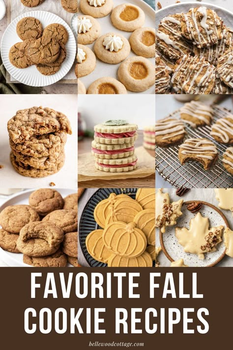 This list of over 45 Cookie Recipes for Fall is packed with autumn favorites (like Soft Frosted Pumpkin Cookies) and new ideas (like Sage Sandwich Cookies or Biscoff Butter Cookies). You'll find plenty of recipe ideas for Thanksgiving desserts, fall parties, or for an afternoon of cozy fall baking. The list also includes vegan cookie recipes and gluten-free cookies so you can prepare delicious treats for everyone. Fall Baked Goods Recipes Easy, Healthy Fall Cookie Recipes, Fall Cookies Chocolate, Best Fall Cookies Recipes, Fall Cookie Tray Ideas, Fun Fall Cookie Recipes, Thanksgiving Cookie Tray Ideas, Unique Fall Cookies, Fall Baking Breakfast