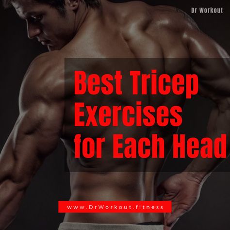 Best Triceps Exercises For All 3 Heads Tricep Workout Men, Tricep Workout Gym, Gym Weights Workout, Arnold Workout, Best Tricep Exercises, Shoulder Workout At Home, Barbell Shoulder Press, Chest And Tricep Workout, Triceps Exercises